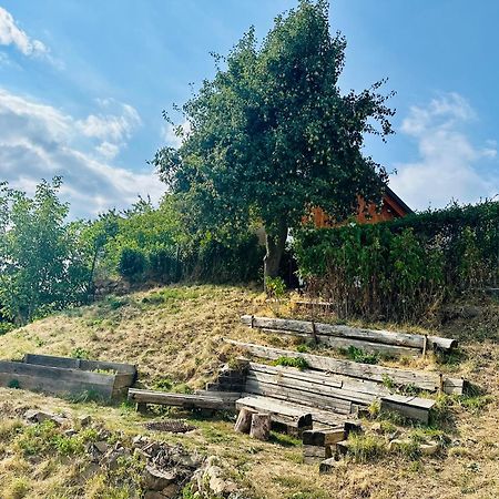 Pensjonat Libling Ruzovy Banská Štiavnica Zewnętrze zdjęcie