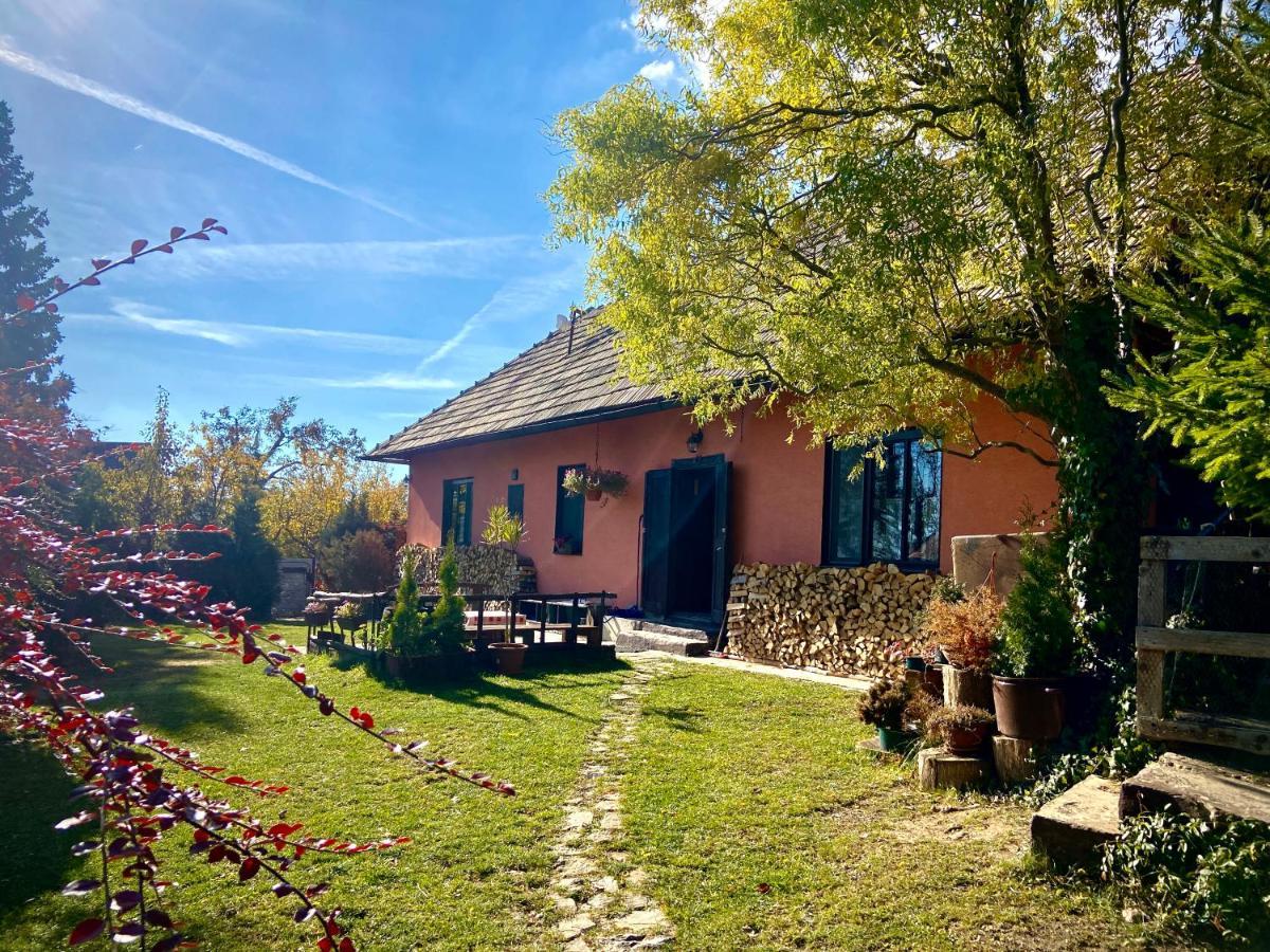 Pensjonat Libling Ruzovy Banská Štiavnica Zewnętrze zdjęcie