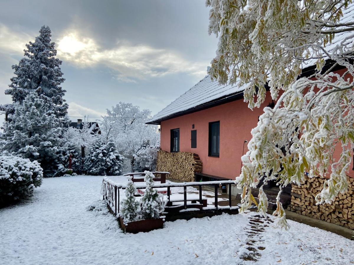 Pensjonat Libling Ruzovy Banská Štiavnica Zewnętrze zdjęcie