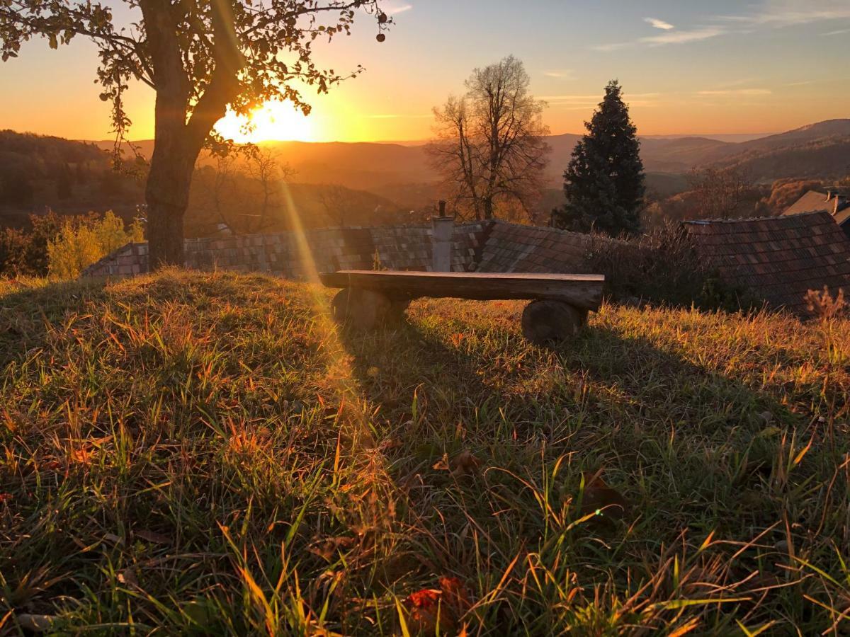 Pensjonat Libling Ruzovy Banská Štiavnica Zewnętrze zdjęcie